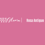 Rosa Antiguo