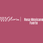 Rosa Mexicano fuerte